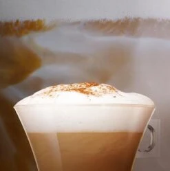 Nescafé Dolce Gusto Cappuccino Capsules - 90 Koffiecups 15 Nescafé Dolce Gusto Cappuccino Capsules - 90 Koffiecups -Koffiebenodigdheden Winkel 1190x1200 3