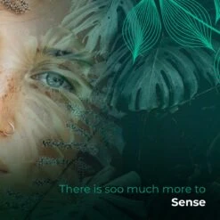 Soolong Sense Oost Timor Nr1000 Koffiebonen Smooth Lacau - Speciality Koffie Arabica Medium Roast Met Rijke Kruidige Smaak Met Heerlijke Ondertonen Van Karamel - Zak 250gram 11 Soolong Sense Oost Timor Nr1000 Koffiebonen Smooth Lacau - Speciality Koffie Arabica Medium Roast Met Rijke Kruidige Smaak Met Heerlijke Ondertonen Van Karamel - Zak 250gram -Koffiebenodigdheden Winkel 1200x1200 201