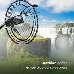 Soolong Enjoy Brazilie Nr4000 Koffiebonen Topacio Lungo - Speciality Koffie Arabica Medium Roast, Light Body Met Een Verfijnde Zacht Zoete Smaak. - Zak 250gram -Koffiebenodigdheden Winkel 1200x1200 233
